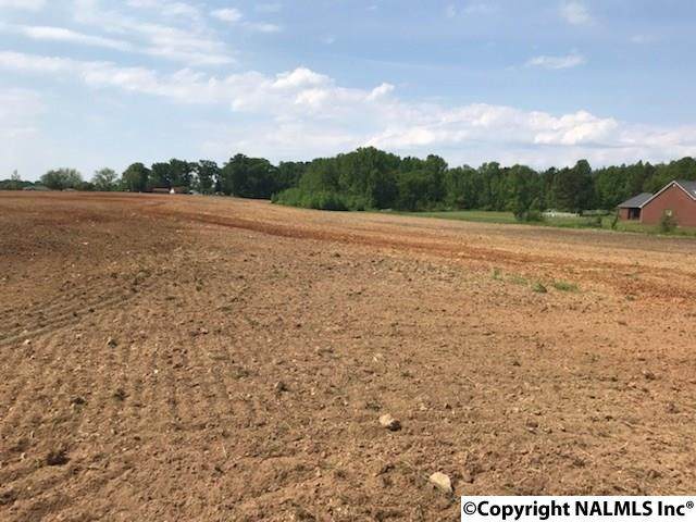 6712D Old Railroad Bed Road - Photo 1