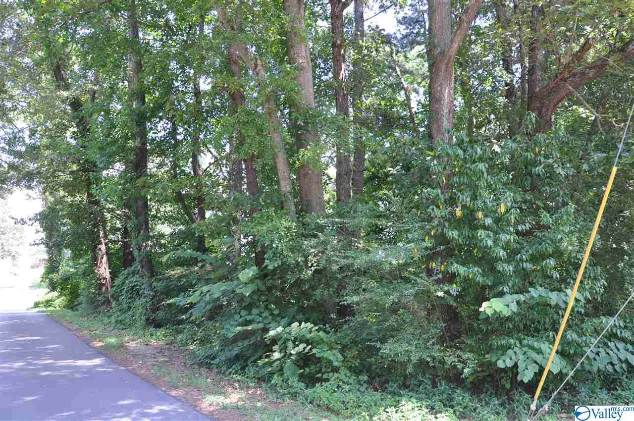 0 2ND AVENUE - Photo 1