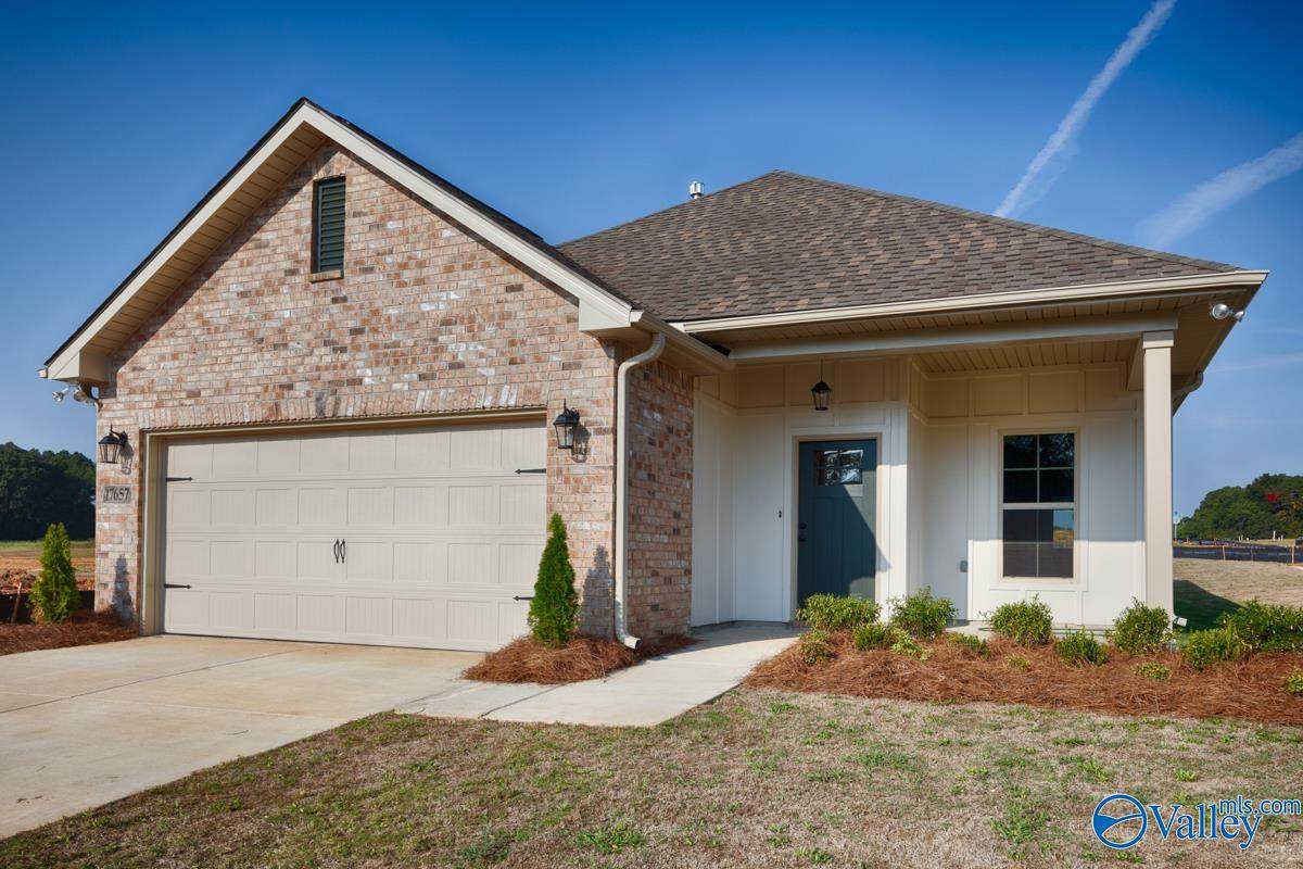 17657 Cabernet Street - Photo 1