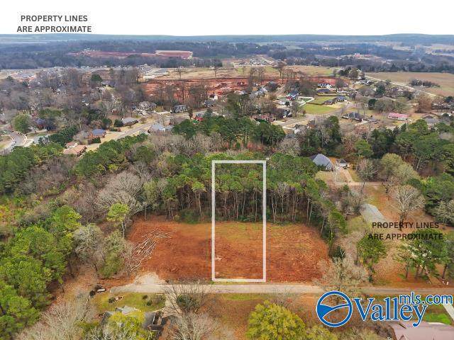175 Jacque Jim Drive - Photo 1