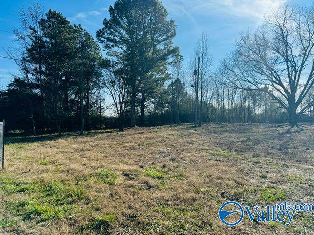 859 Main Street West - Photo 1
