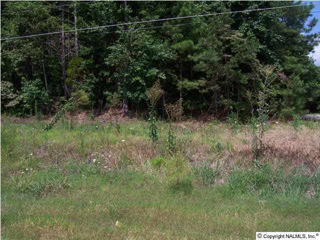 3 County Road 58 - Photo 1