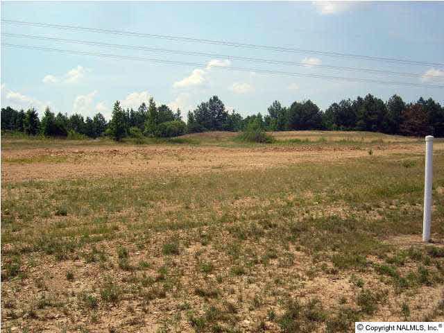 14331 Muirfield Drive - Photo 1