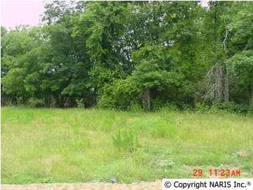 County Road 1009 - Photo 1