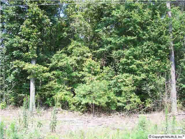 1 County Road 58 - Photo 1