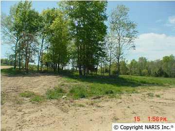 County Road 1010 - Photo 1