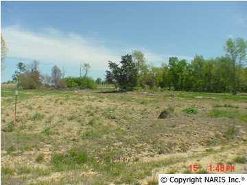 County Road 1009 - Photo 1