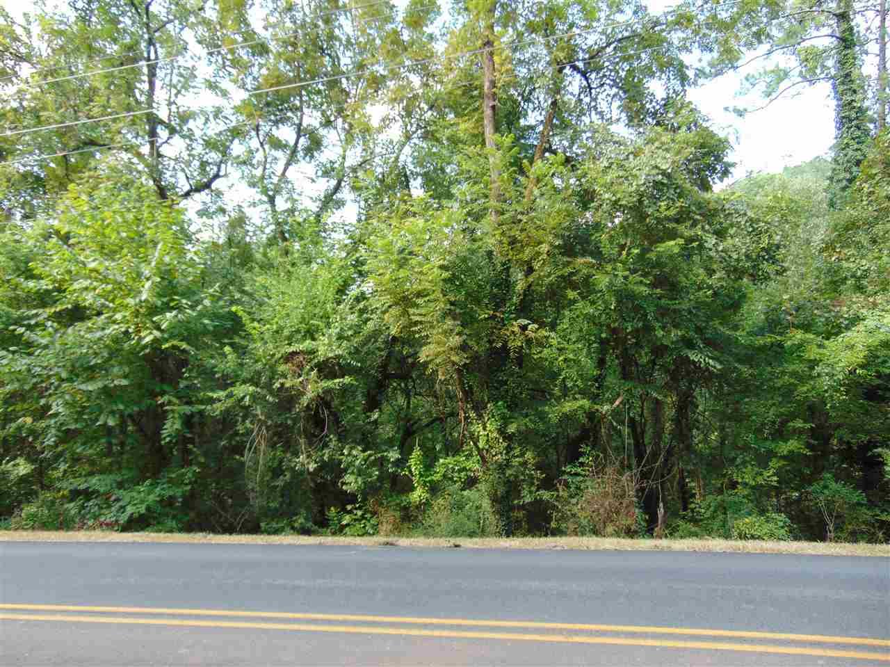 Willow Beach Road - Photo 1
