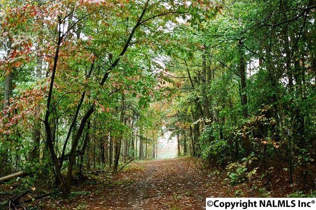 00 County Road 277 - Photo 1