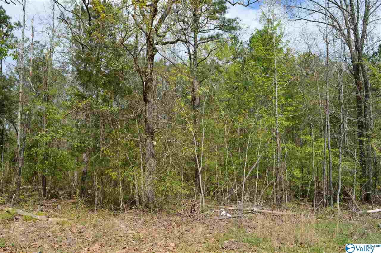 Lot 35 County Road 608 - Photo 1