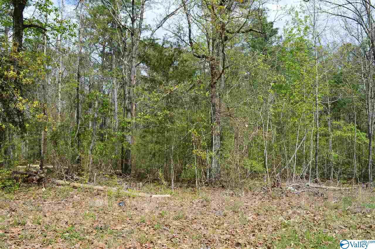 Lot 34 County Road 608 - Photo 1