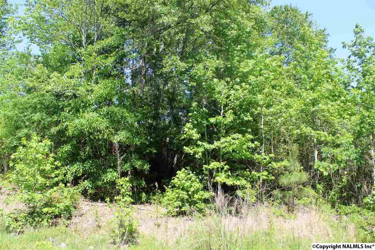 NA County Road 497 - Photo 1