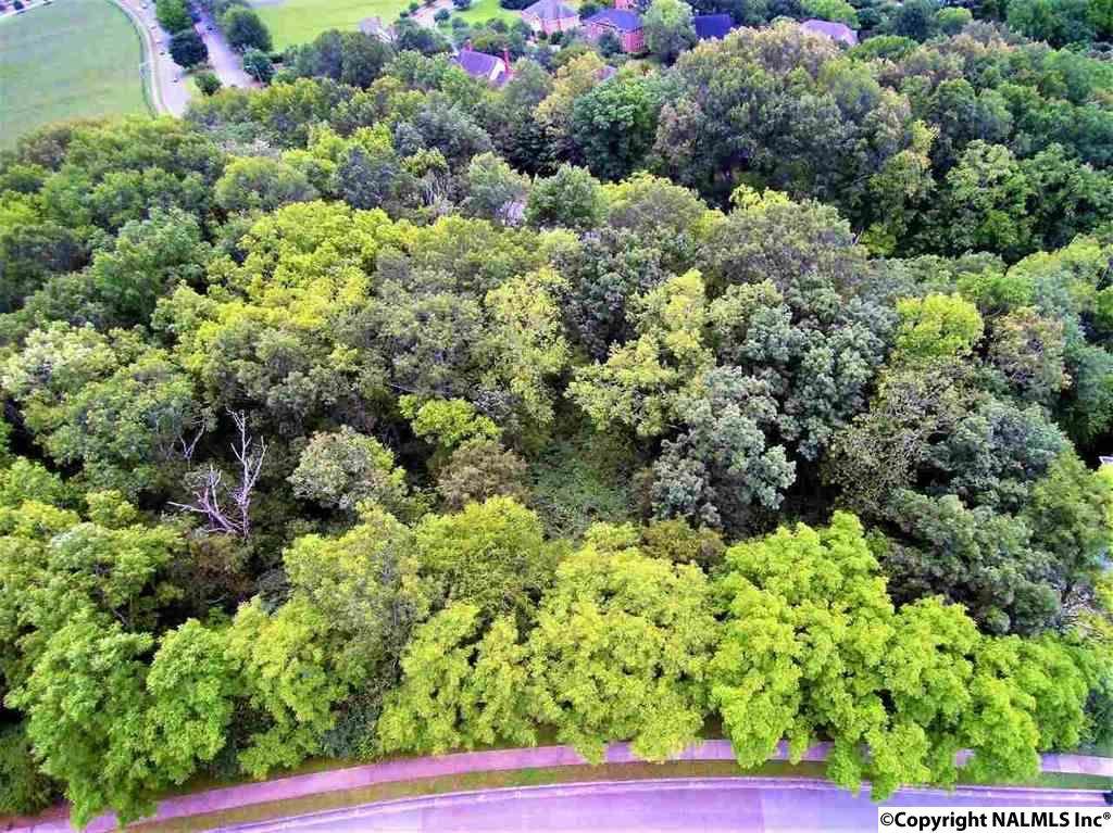 0 Springhouse Road - Photo 1