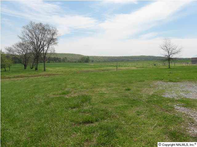 8256 Old Railroad Bed Road - Photo 1