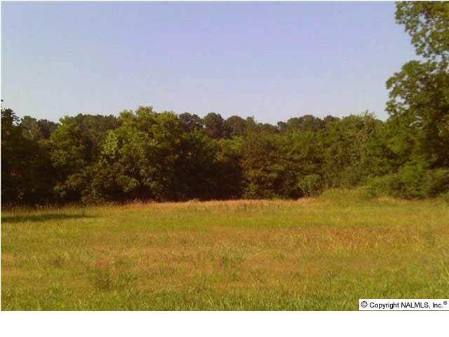1710 Hobbs Street - Photo 1