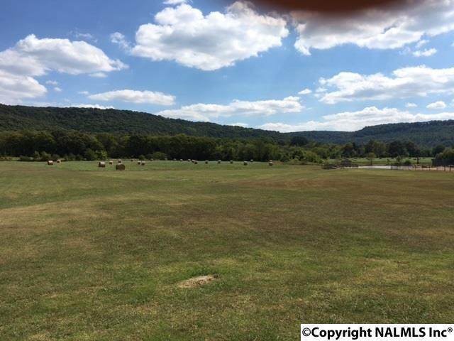 Lot 19 Cedar Trace Drive - Photo 1