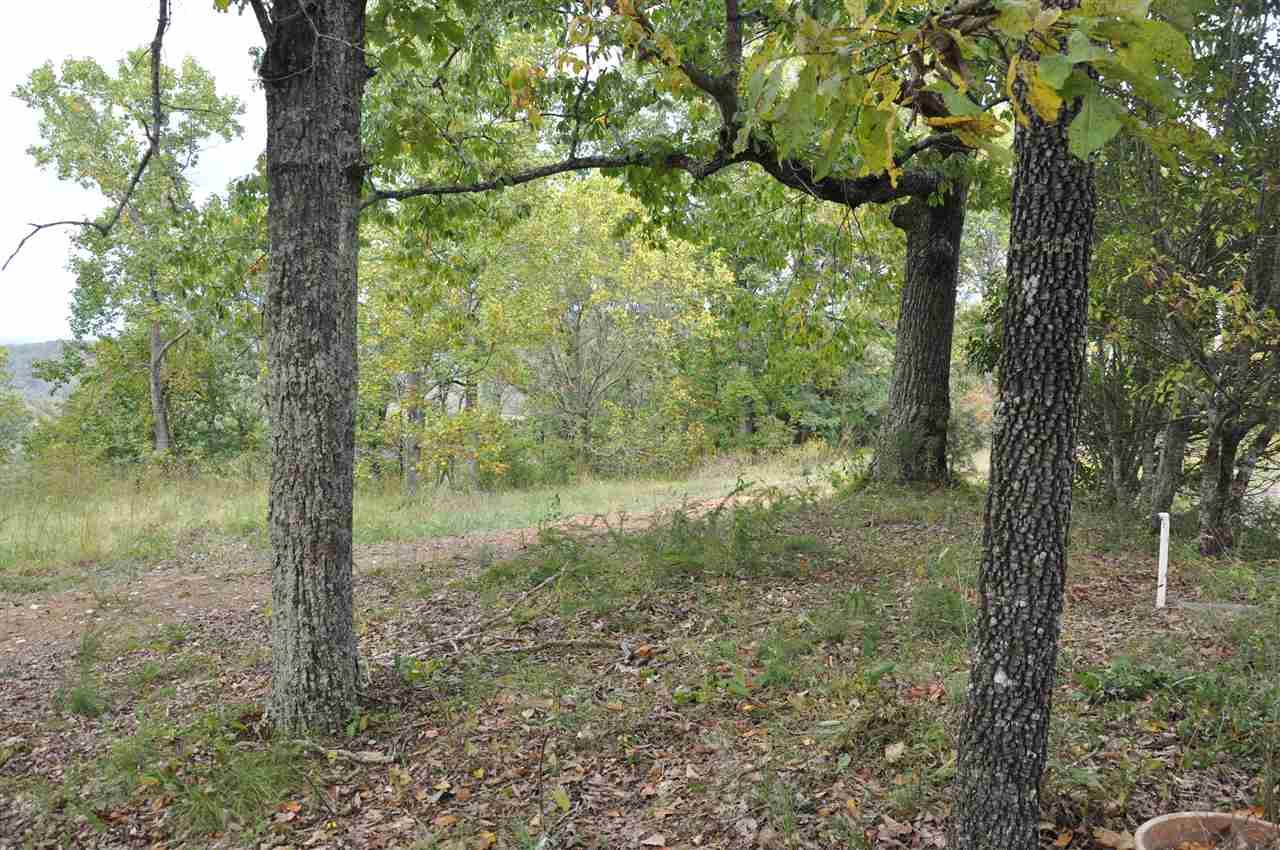 286 County Road 1731 - Photo 1