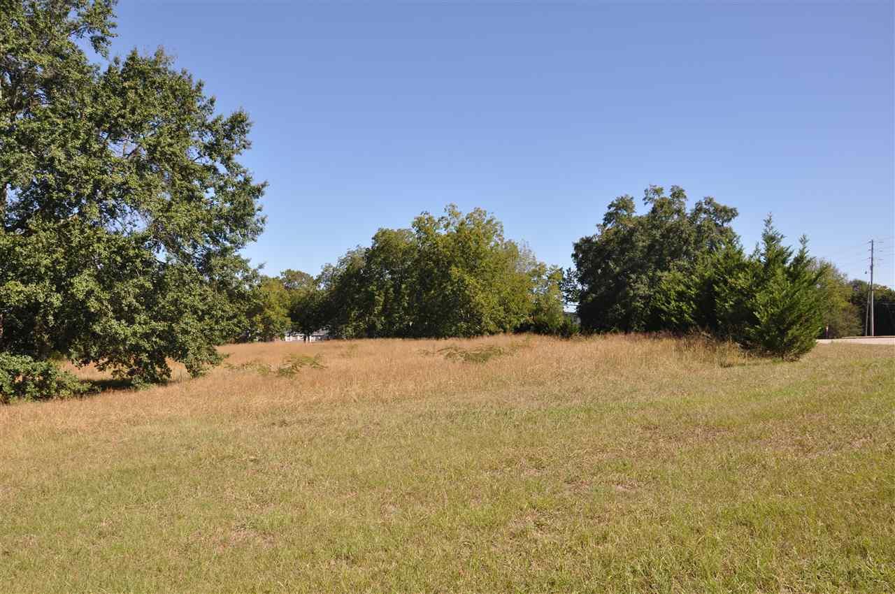 0 Alabama Highway 69 - Photo 1