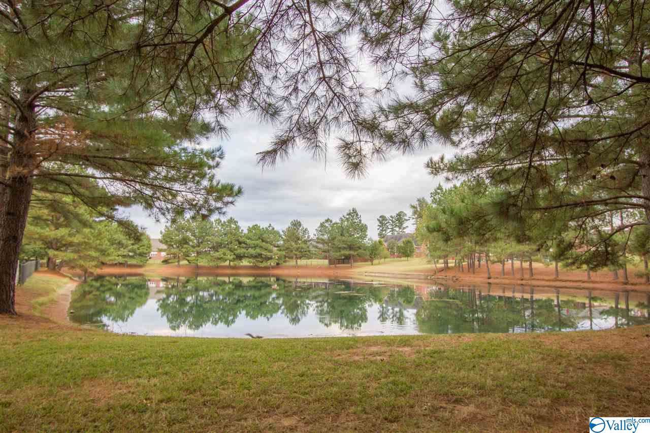 225 Riverwalk Trail - Photo 1