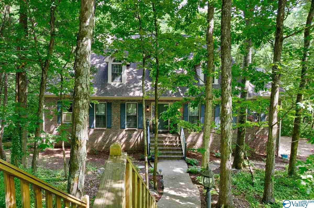 743 Bluewood Drive - Photo 1