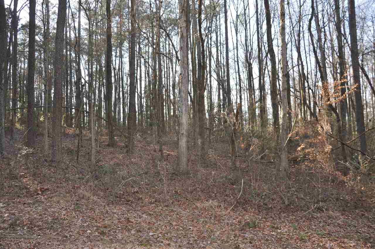 0 8TH AVENUE - Photo 1