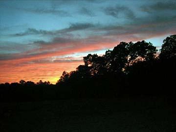 1172 County Road 639 - Photo 1