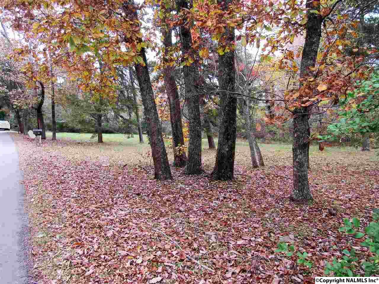 County Road 89 - Photo 1