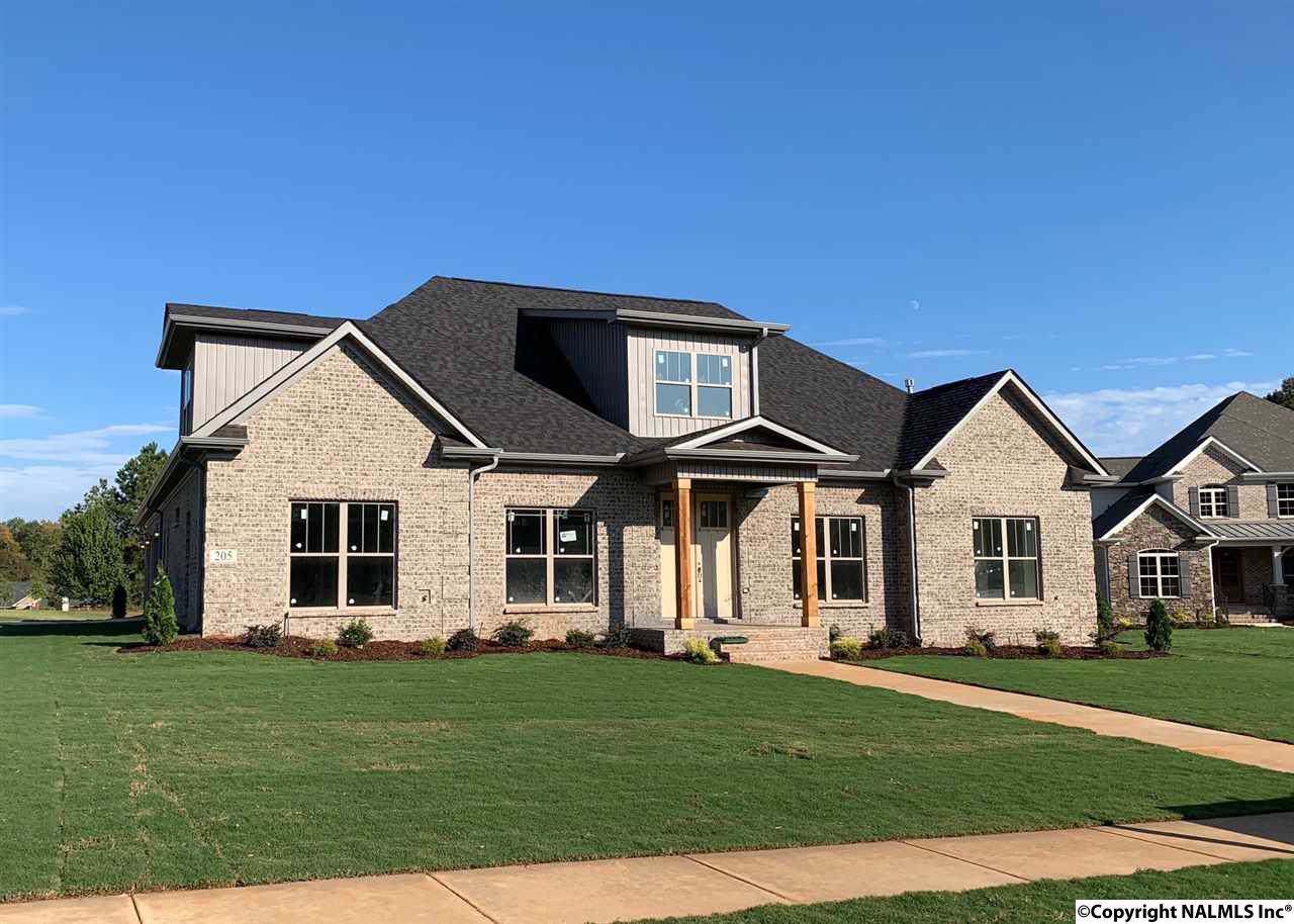 205 Buddy Tate Lane - Photo 1