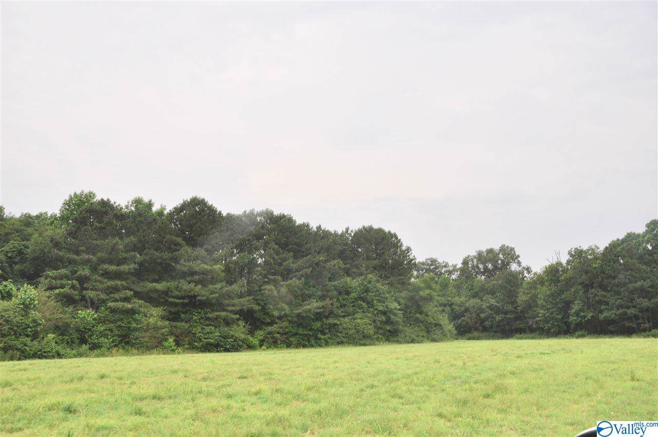 8723 Alabama Highway 69 - Photo 1