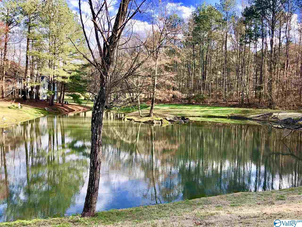 X Cherokee Ridge Drive - Photo 1