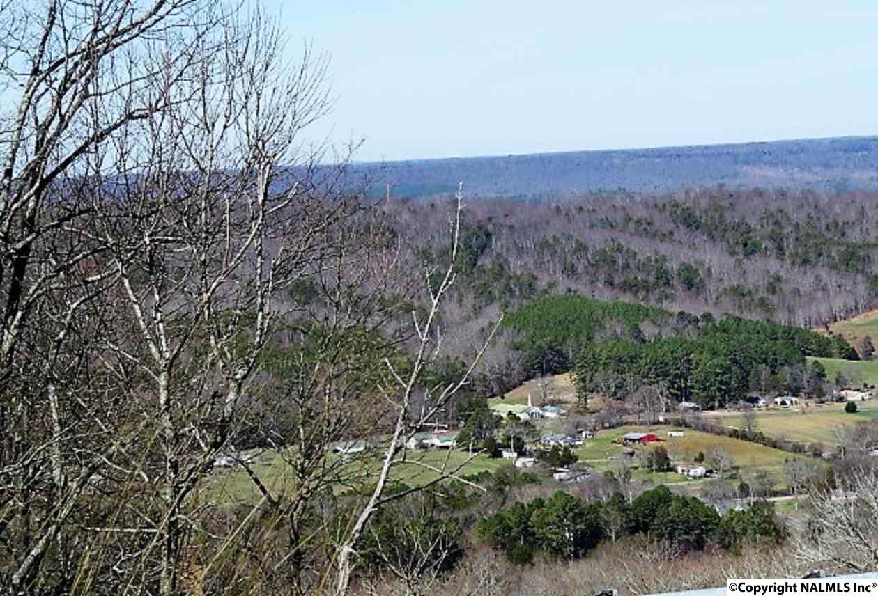 Tract 2 County Road 107 - Photo 1