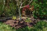 13589 Snapper Ln - Photo 15