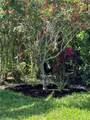 13589 Snapper Ln - Photo 22