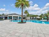 28471 Burano Dr - Photo 43