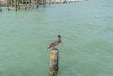 10 Tampa Pl - Photo 29