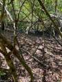  0 No Access Road - Photo 5
