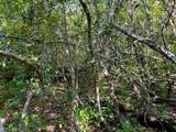  0 No Access Road - Photo 6