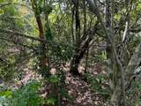  0 No Access Road - Photo 7