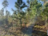 2804 11th St - Photo 1