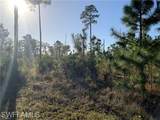 2804 11th St - Photo 4