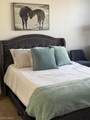 12936 Violino Ln - Photo 11