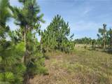 3065 Everglades Blvd - Photo 1