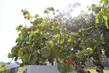 3004 26th St - Photo 31