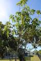 3004 26th St - Photo 43
