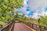 116 Lantana Ln - Photo 42