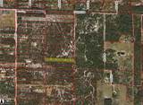 Frangipani Ave - Photo 2
