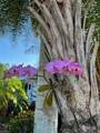 10339 Prairie Iris Trl - Photo 6