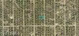 1307 Grant Ave - Photo 4