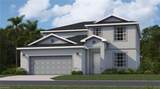 11408 Willowleaf Blvd - Photo 1