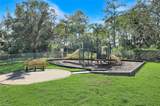 4264 Raffia Palm Cir - Photo 48